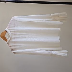 Sheer Poet Sleeved Blouse